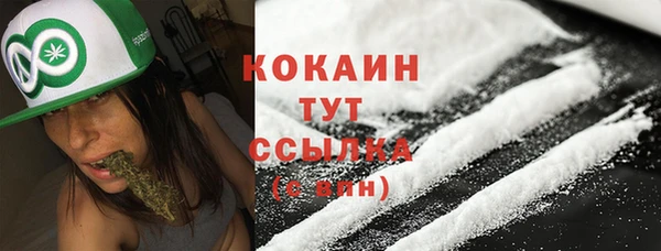 крисы Армянск
