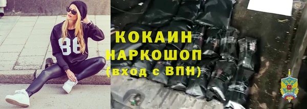 крисы Армянск